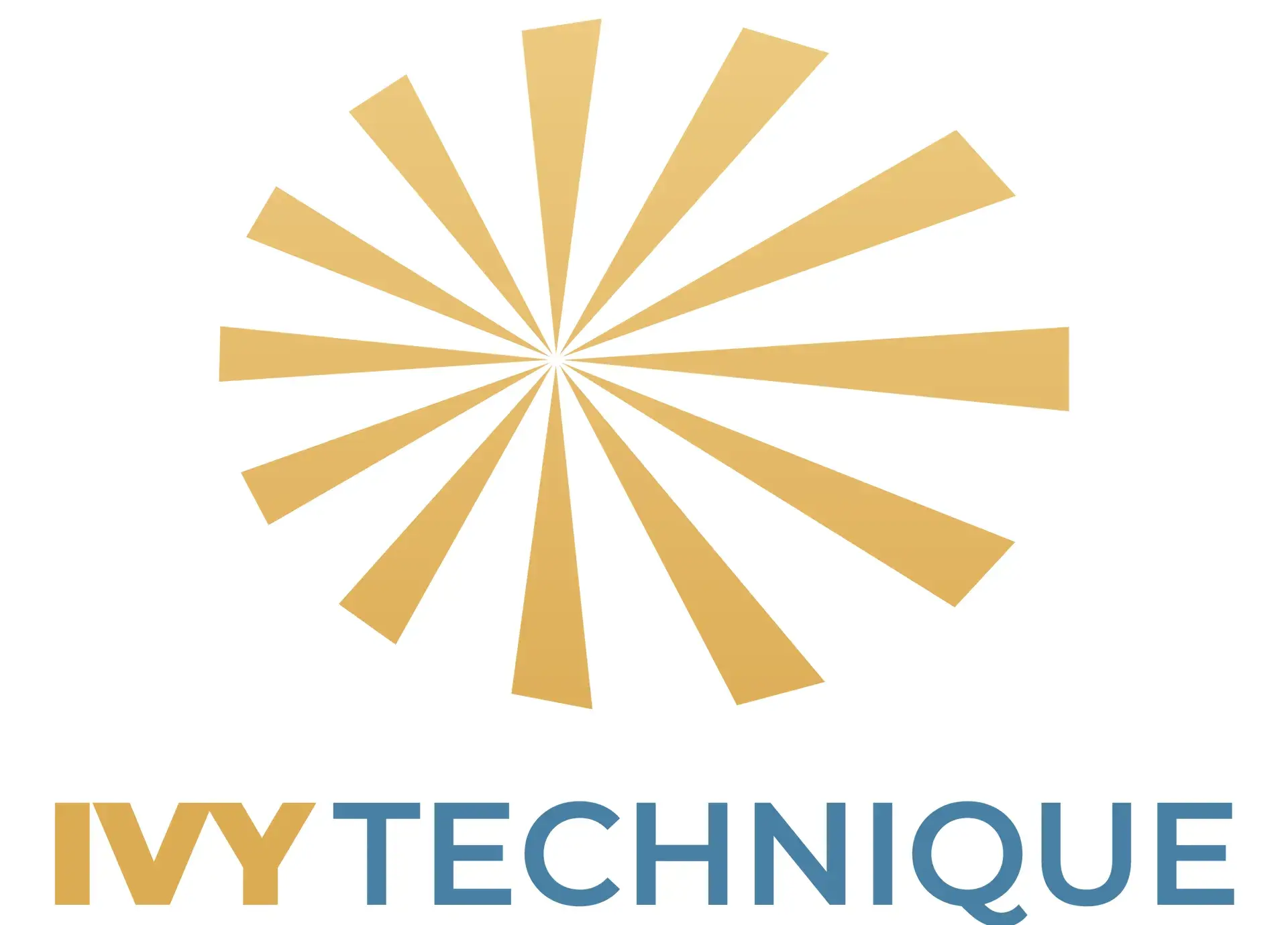 Logo footer - tổng thầu ivy technique 
