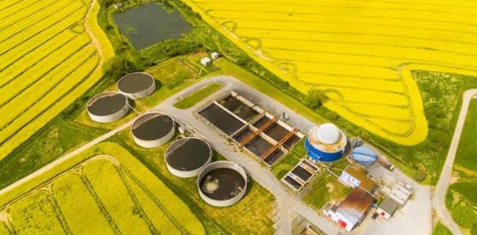 Nh&agrave; m&aacute;y năng lượng sinh khối sử dụng phụ phẩm n&ocirc;ng nghiệp để sản xuất điện