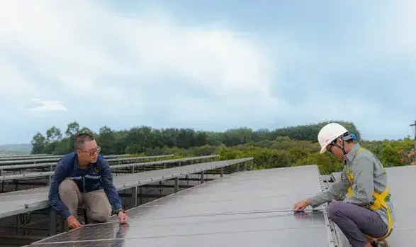 on_vi_tong_thau_EPC_Ivy_Technique_-_uoc_nhieu_doanh_nghiep_chon_mat_gui_vang_709x472_11zon.webp